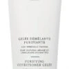 Christophe Robin Purifying Conditioner Gelée 200ml