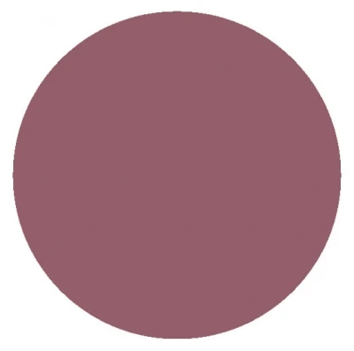 Embryolisse Secret De Maquilleurs Comfort Lip Balm Tinted 2,5g 1 Embryolisse Secret De Maquilleurs Comfort Lip Balm Tinted 2,5g