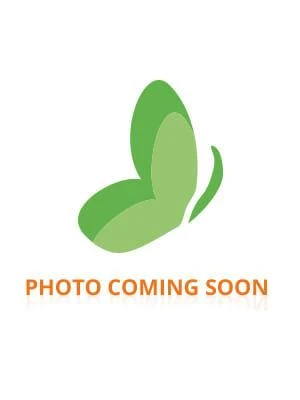 Noreva Bergasol Sublim Preparator 2 X 30 Capsules (to Use Preferably Before The End Of 11/2023) 1 Noreva Bergasol Sublim Preparator 2 X 30 Capsules (to Use Preferably Before The End Of 11/2023)