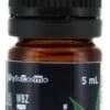 Phytocosmo WBZ Tensions Wintergreen Roll-On Organic 5ml