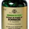 Solgar Plant Extract Echinacea 60 Vegetable Capsules